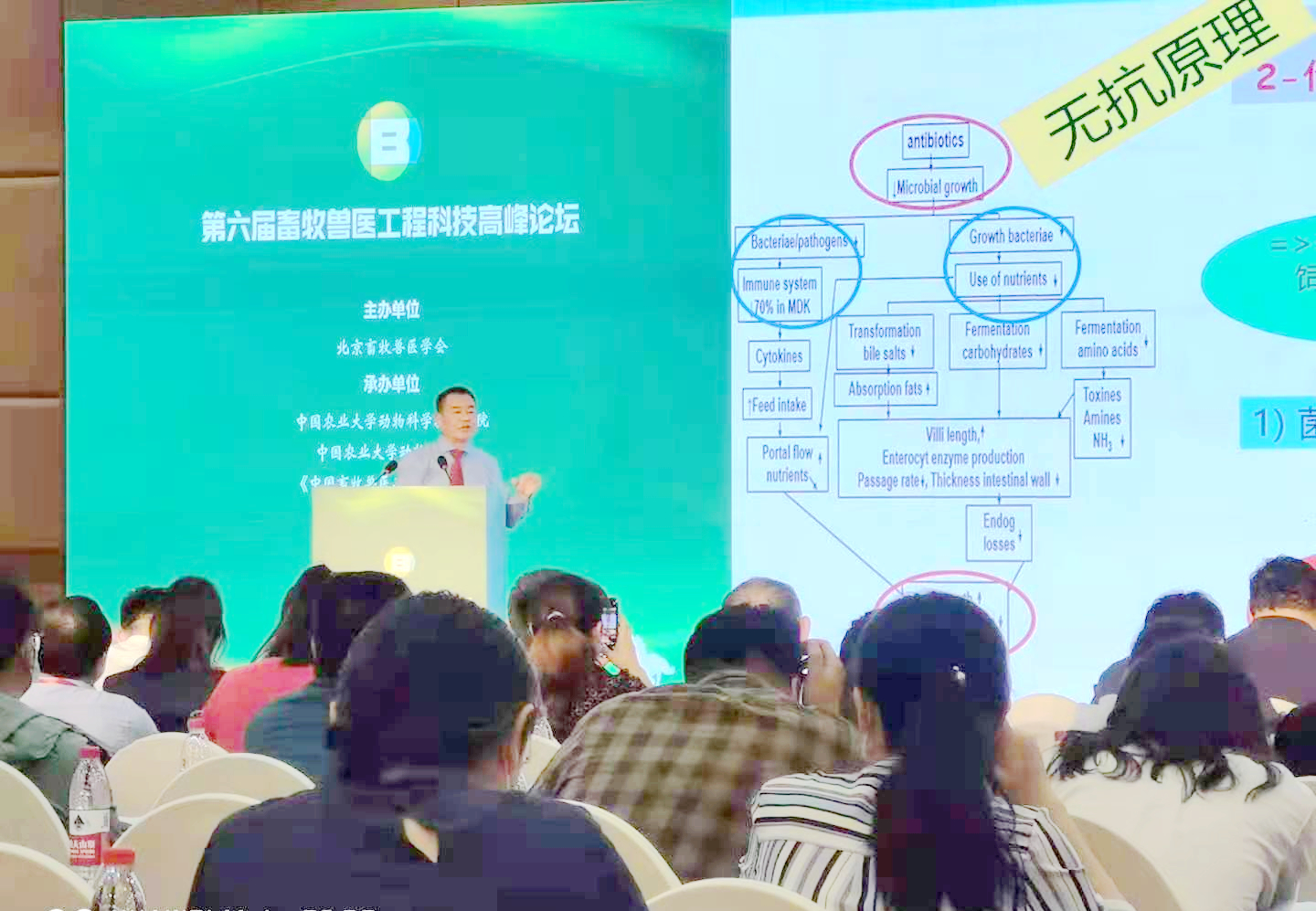 天然植物提取物在無抗中發(fā)揮哪些優(yōu)勢？